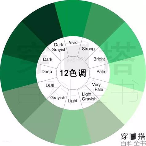 綠色意思|【綠色代表意義】不可不知的「綠」色代表意涵：帶你。